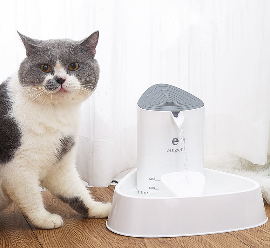 Pet Dog Water Dispenser Cat Water Dispenser