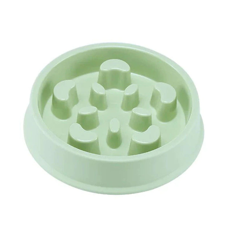 Slow Feeder Bowl for Dogs & Cats