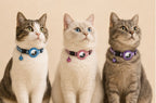 Katzenhalsband mit Sicherheitsverschluss & Reflektor – Bild 4