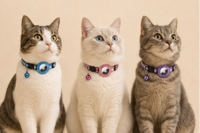 Farol – GPS-fähiges Katzenhalsband mit Sicherheitsverschluss und Reflektor