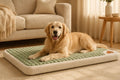 Wolke – Orthopädisches Hundebett in Bouclé