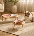Duetto – Raised Ceramic Feeding Station with Wood Stand