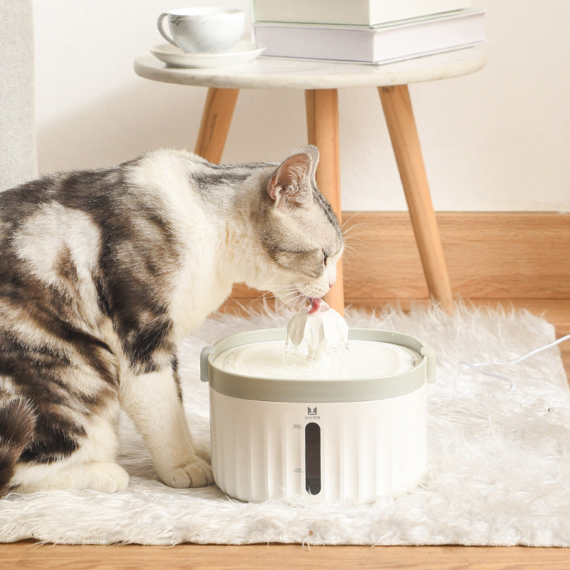 Pet Waterer