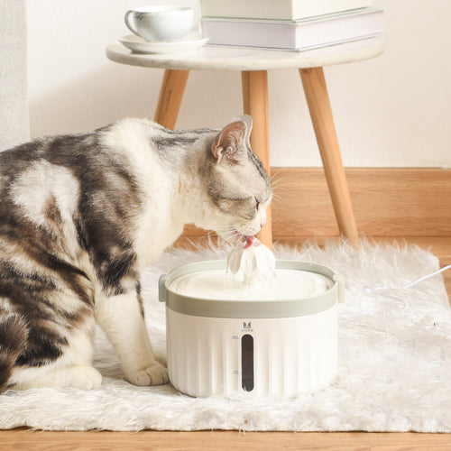 Pet Waterer