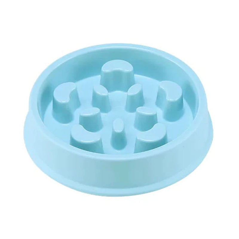 Slow Feeder Bowl for Dogs & Cats