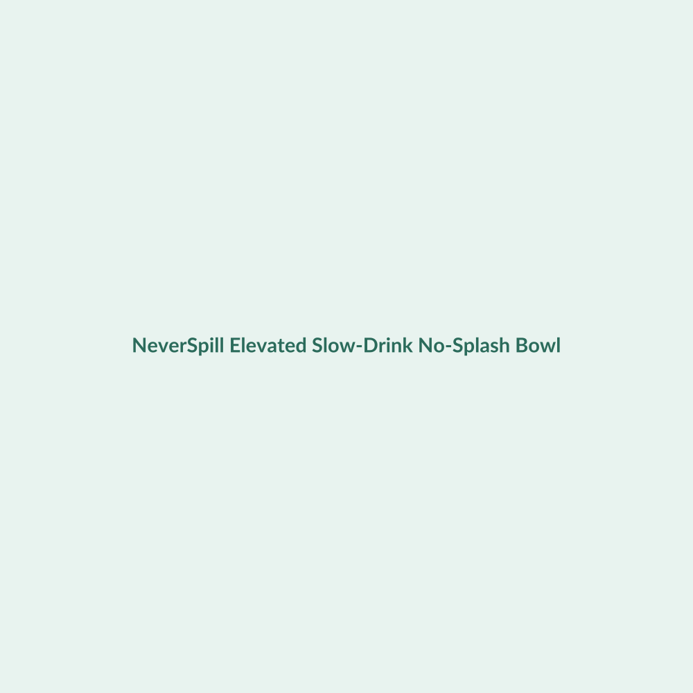 NeverSpill Elevated Slow-Drink No-Splash Bowl (placeholder)